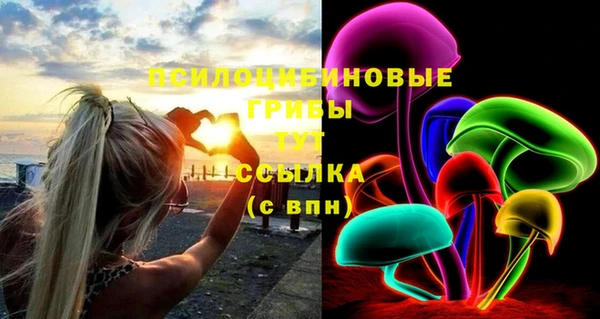 a pvp Вязьма