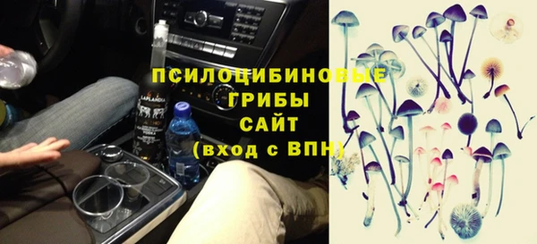 хмурый Вяземский