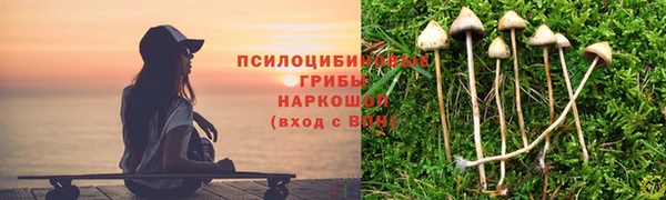 хмурый Вяземский