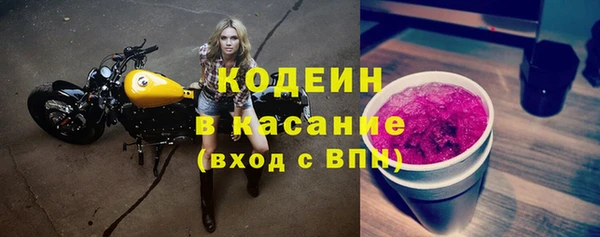 хмурый Вяземский